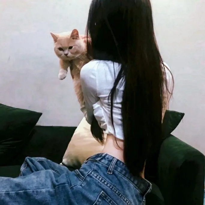 阿拉卡达的秘密